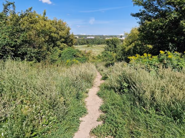 Volkspark Prenzlauer Berg