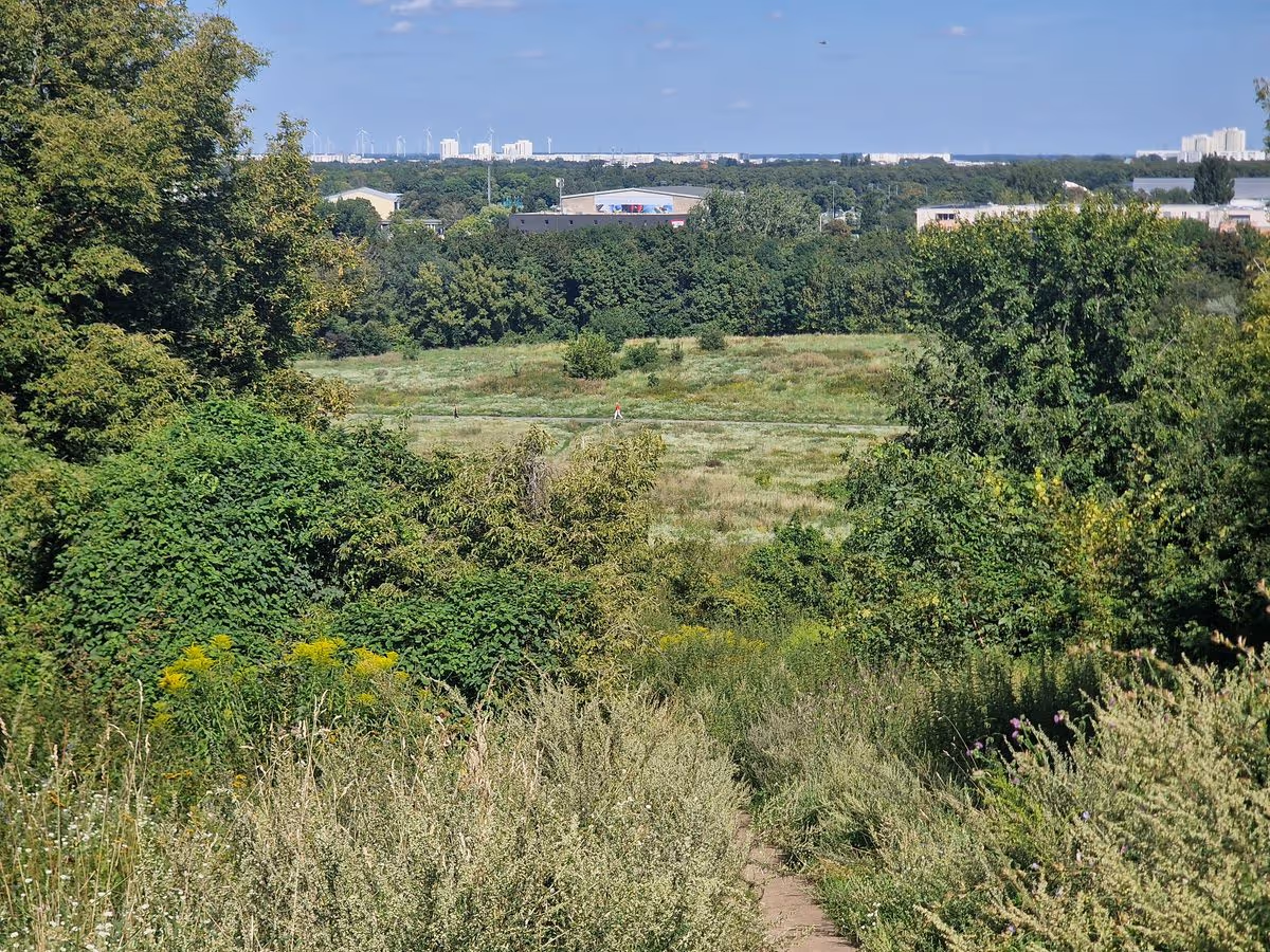 Aussicht vom Volkspark Prenzlauer Berg