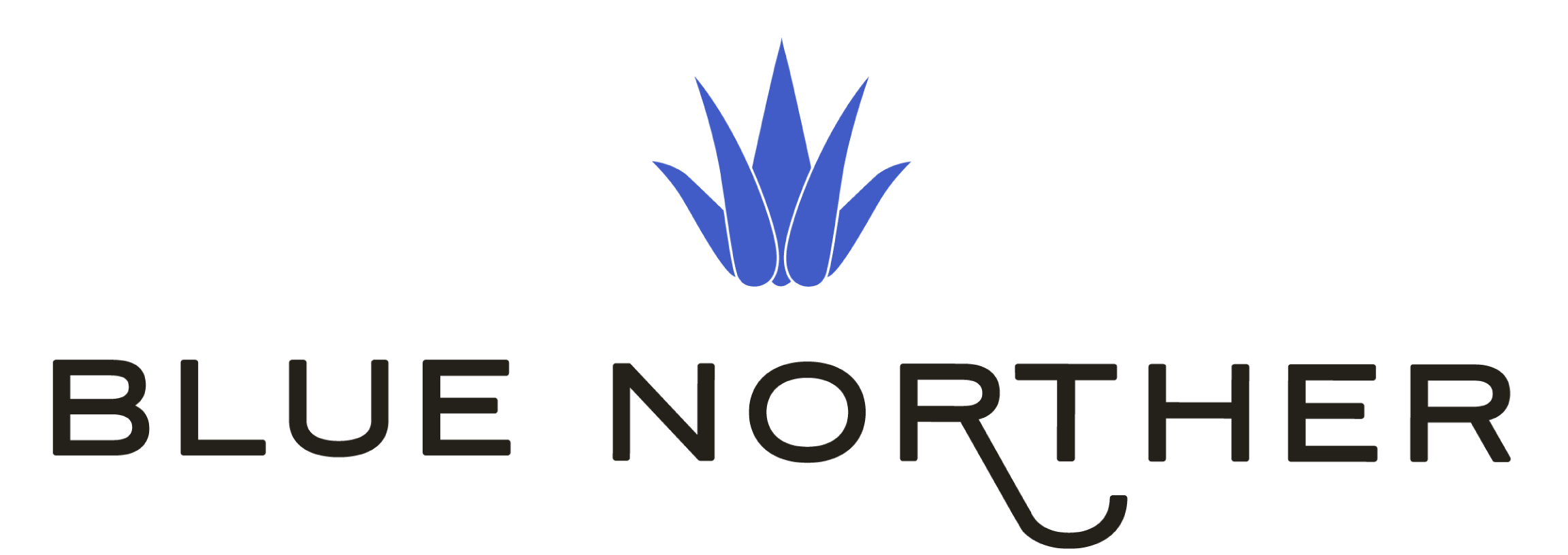 blue norther logo