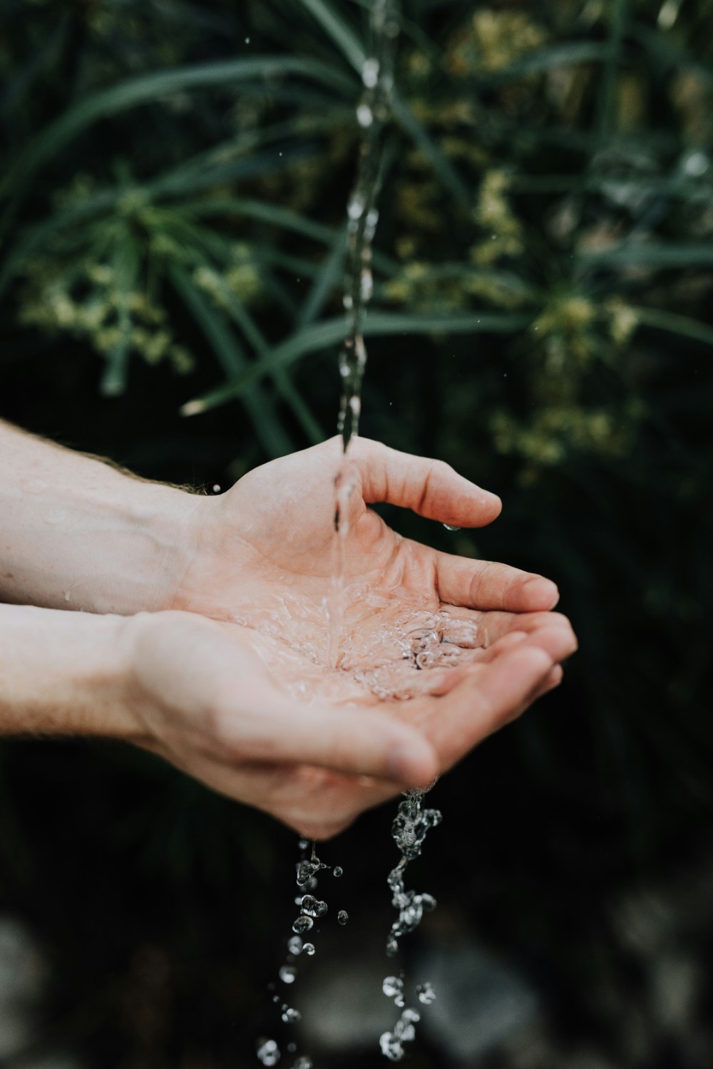 Close-up of hands cupped together catching a stream of clear water, with green plants softly blurred in the background