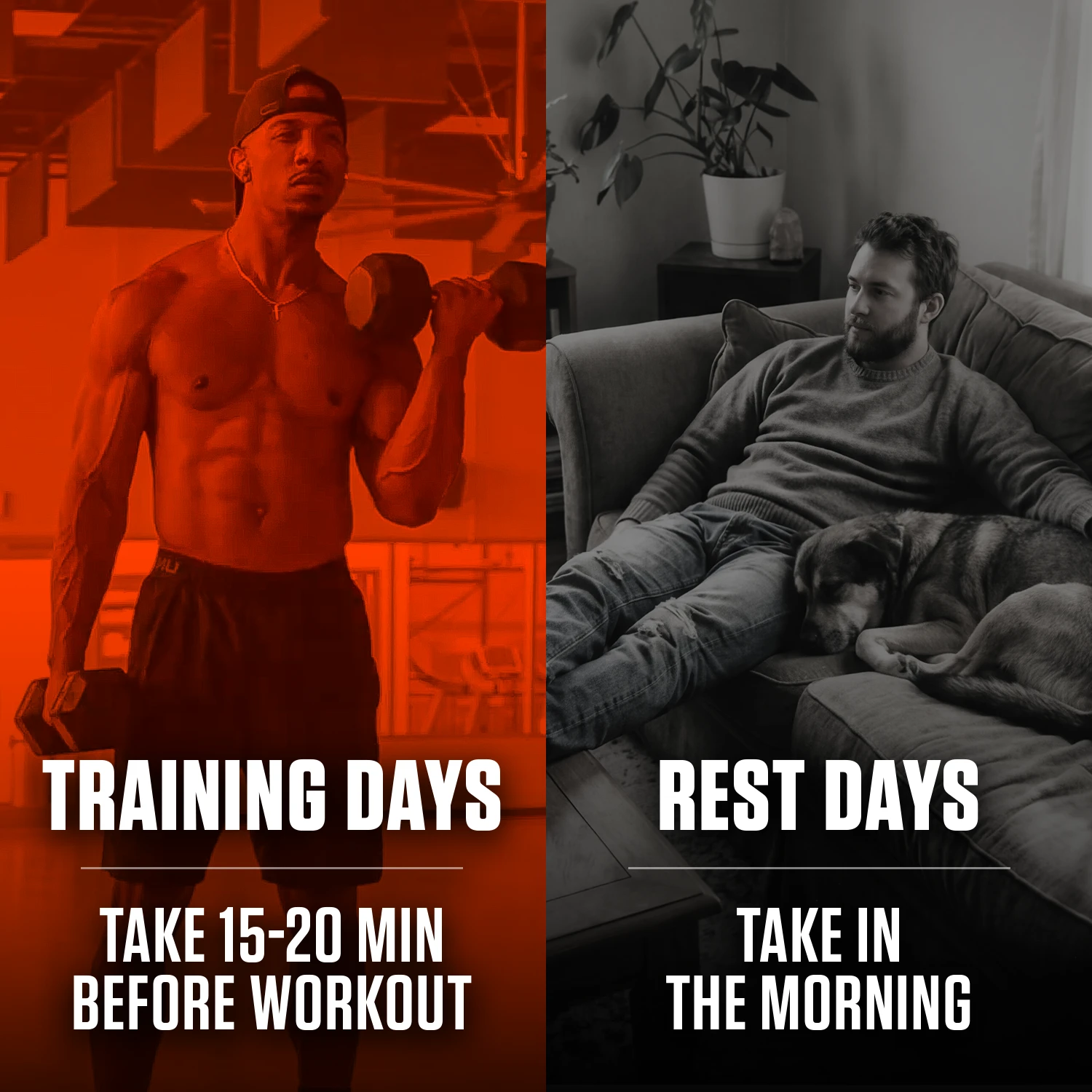 Split image of muscular man lifting dumbbells labeled Training Days and man resting with dog labeled Rest Days.