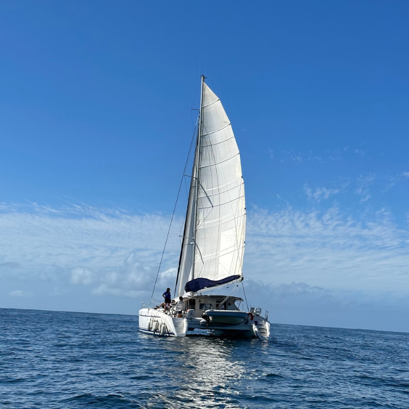 How D-ICE weather routing synchronised a scientific mission under sail