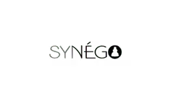 Logo - Synégo