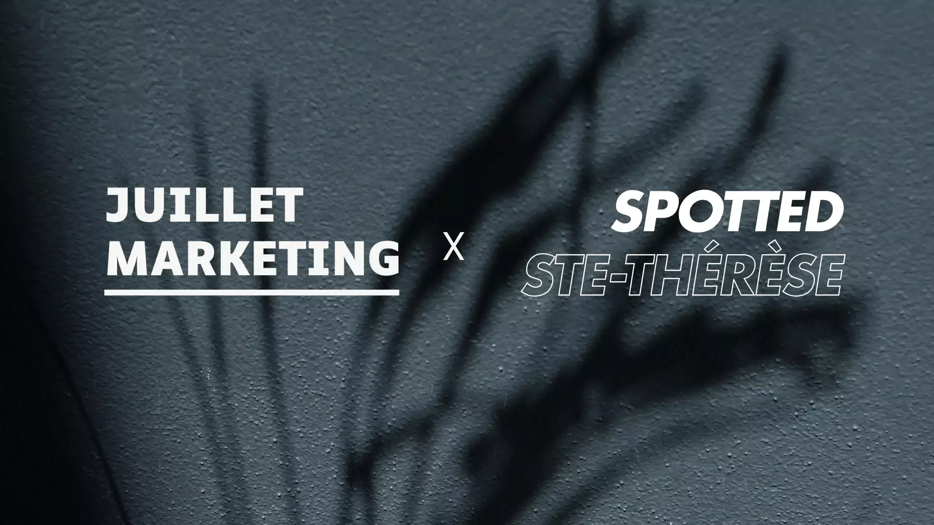 Audit SEO image lien