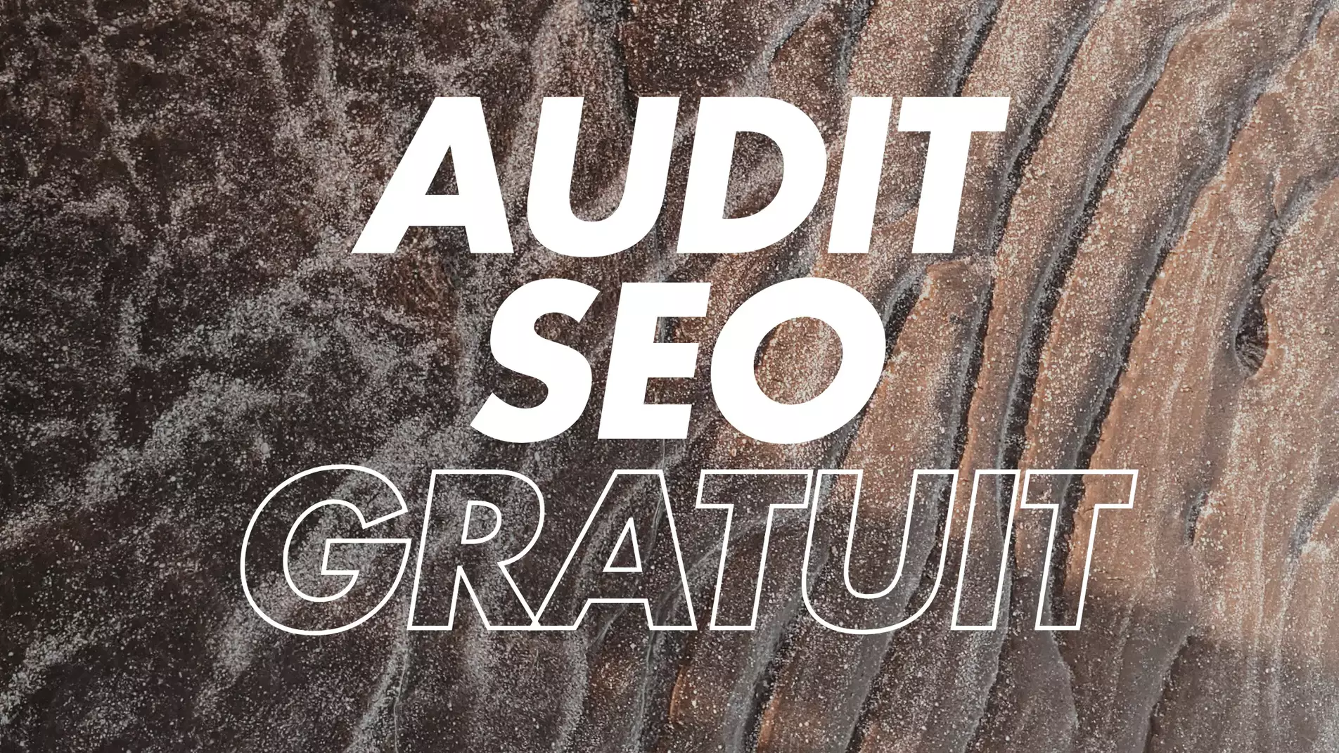 Audit SEO image lien