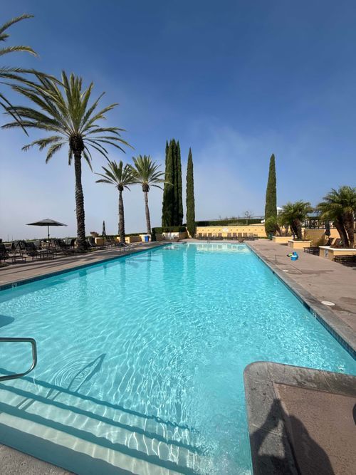 Pool cleaning and repair service area