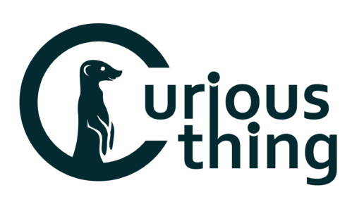 Competitive Analysis: raia vs Curious Thing