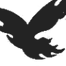 Club Calima logo