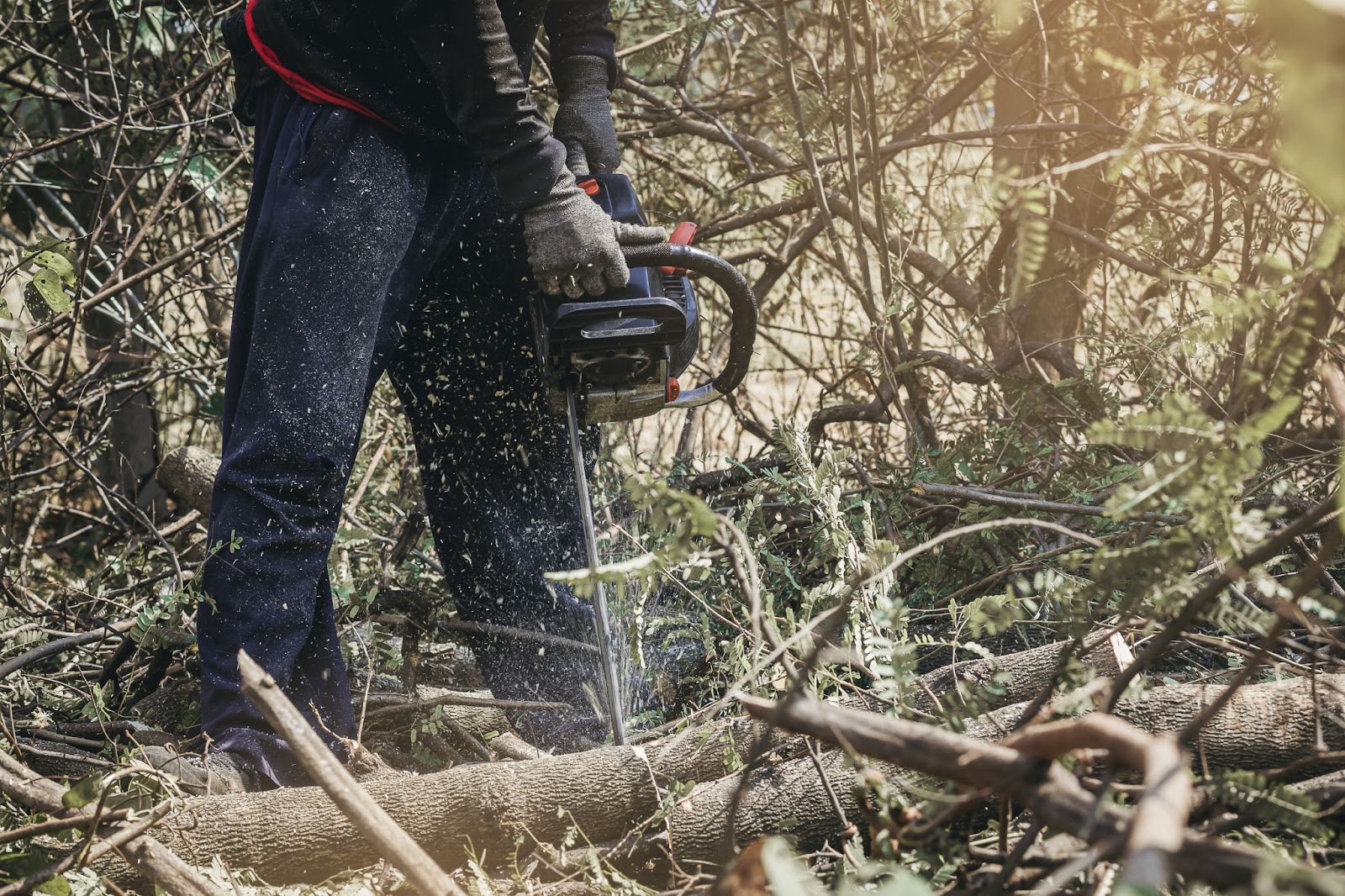 Residential tree services by Tree Doctorz shown removing a large branch with a chainsaw from a lift