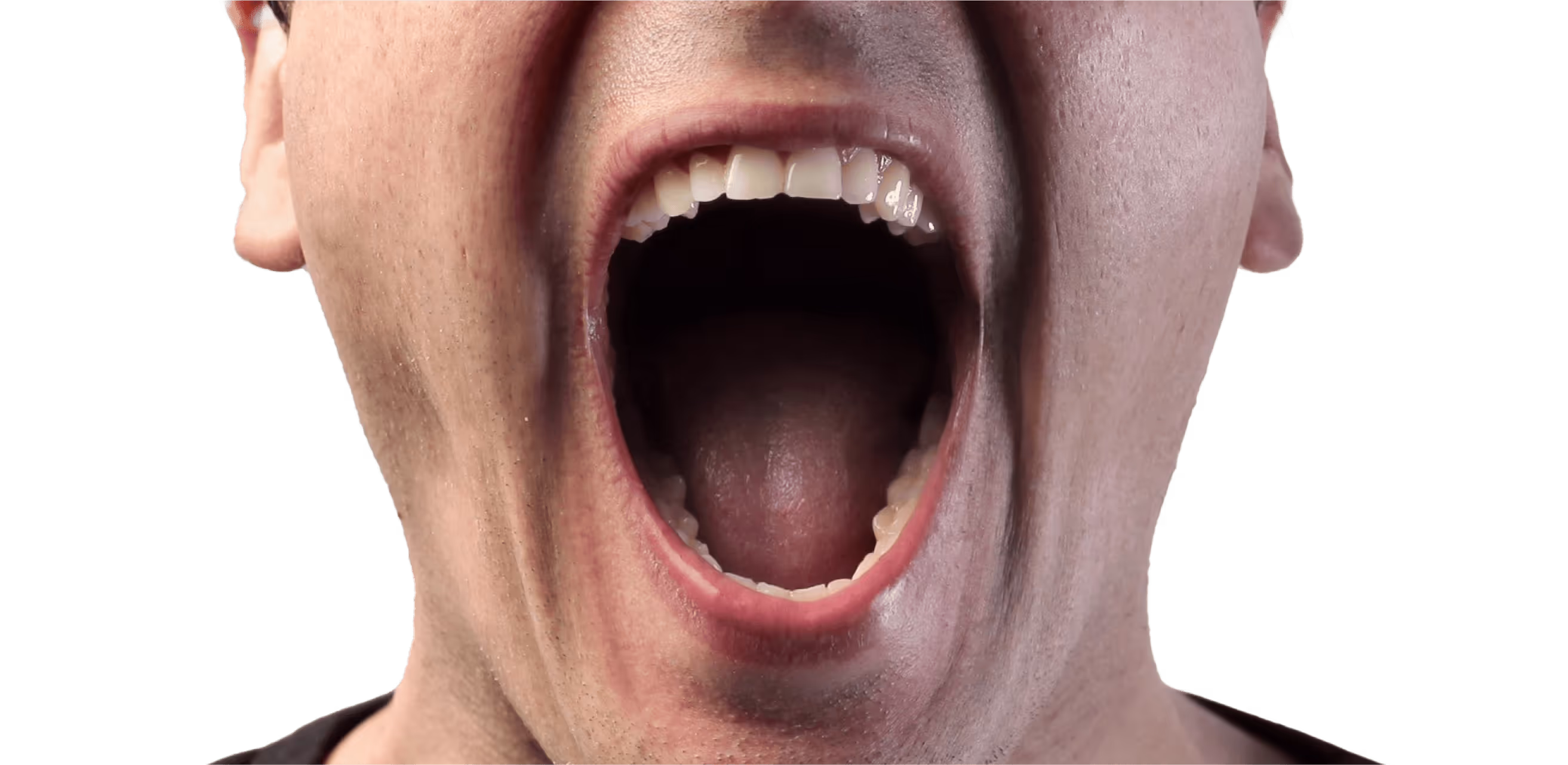Opening a huge mouth to eat a goldburger