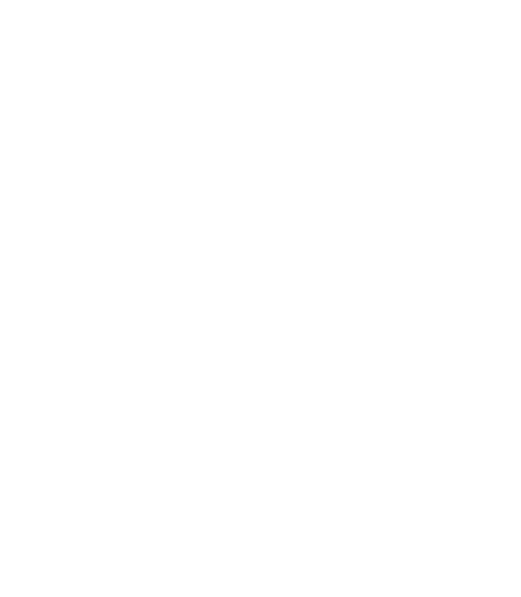 Boggi