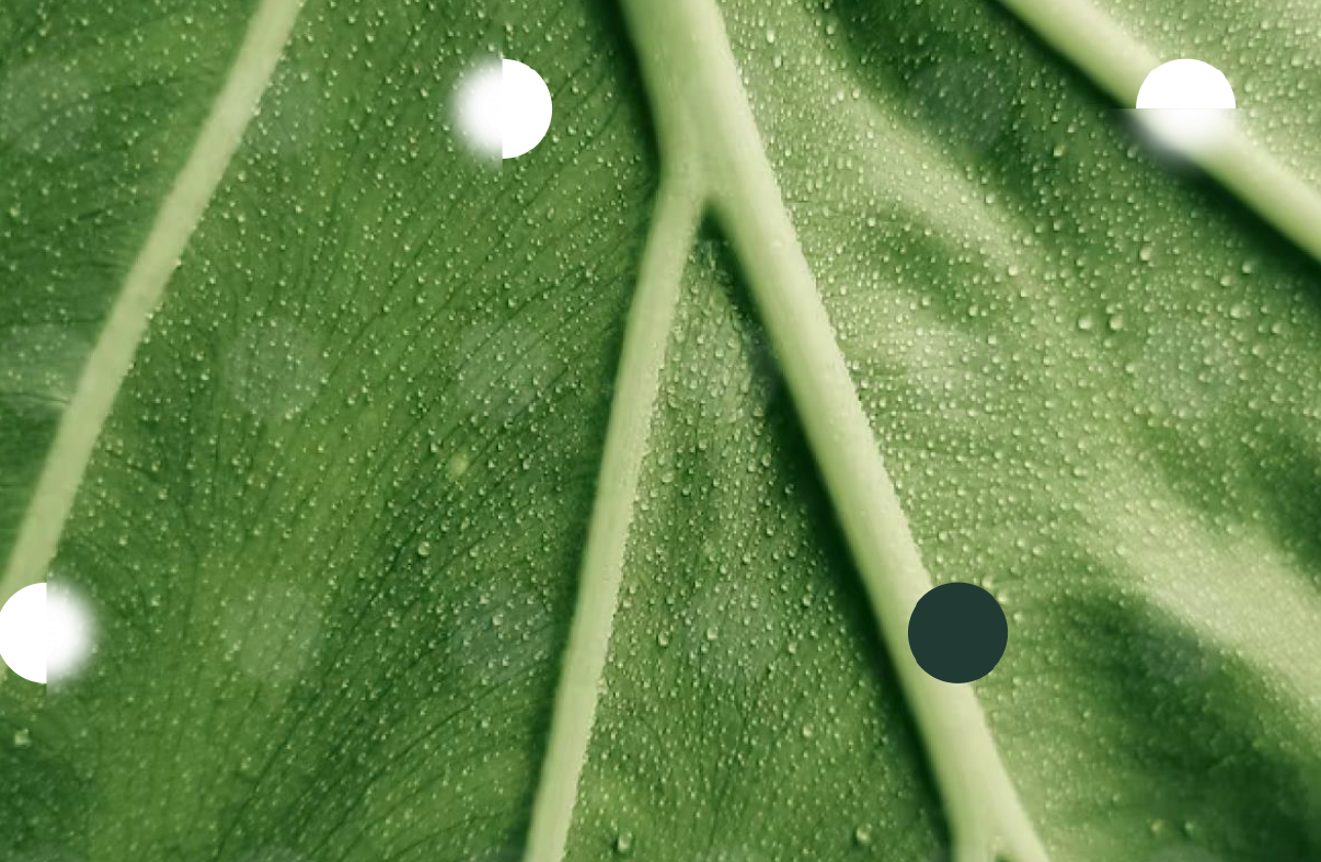 A strengthened effort for entrepreneurs in biosolutions