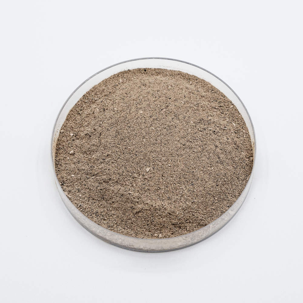 Polvo bacteriano de Bacillus coagulans en placa de Petri