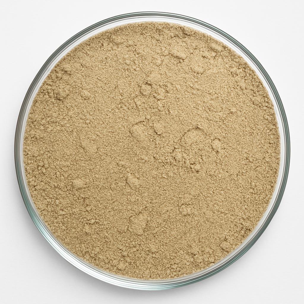 Streptomyces rochei bacterial powder in petri dish