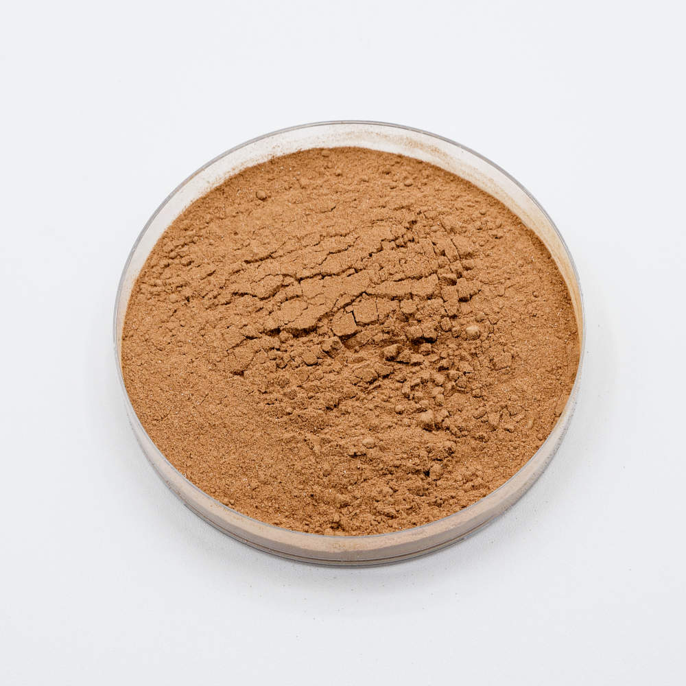 Bacillus licheniformis bacterial powder in petri dish