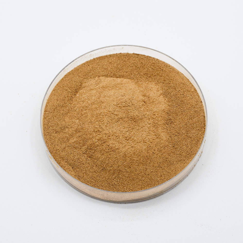 Polvo bacteriano de Bacillus subtilis en placa de Petri