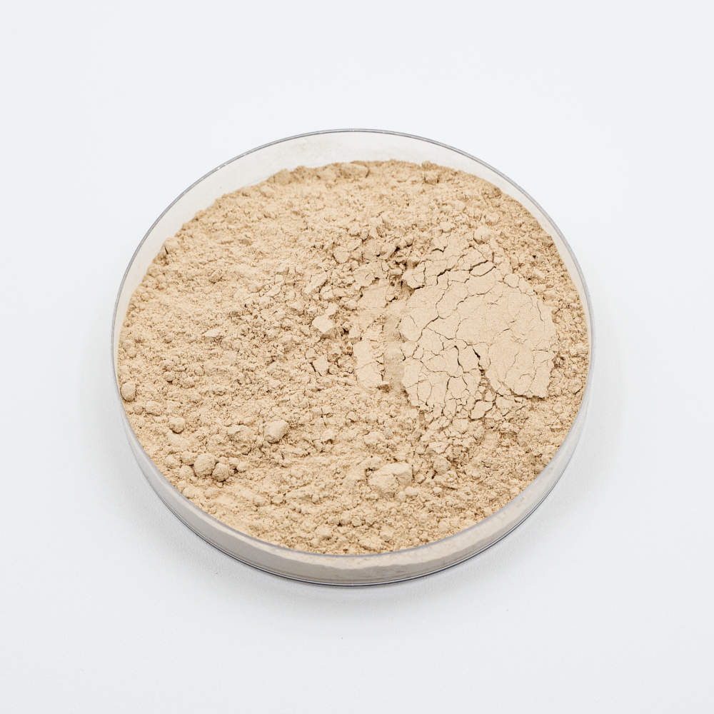 Bacillus thuringiensis bacterial powder in petri dish