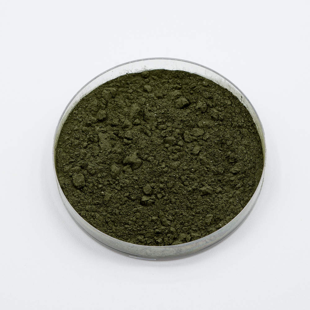 Trichoderma longibrachiatum fungal powder in petri dish