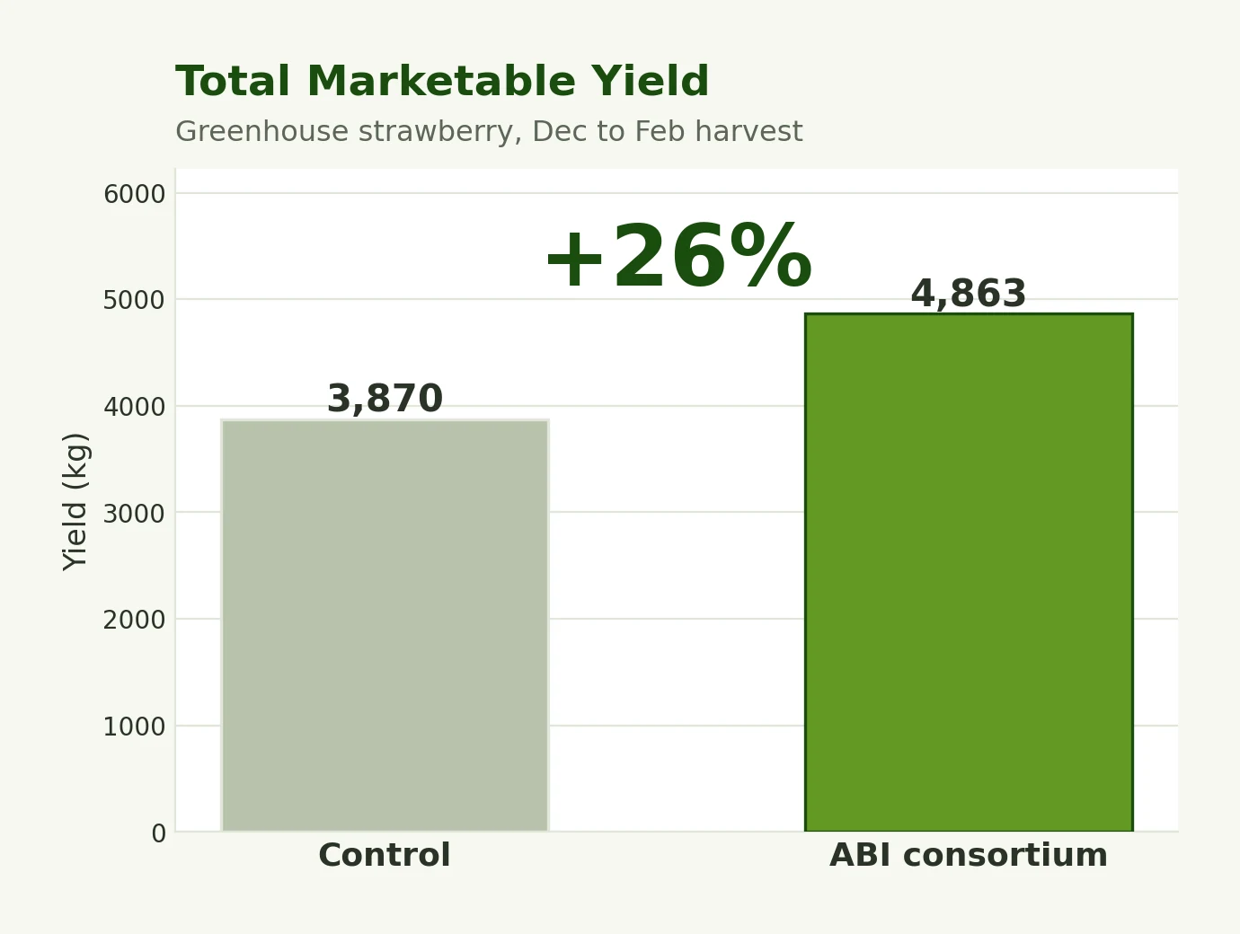 Total marketable yield, a 26 percent increase
