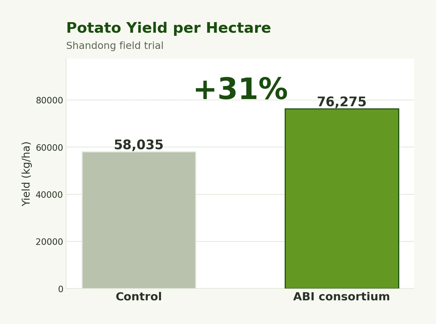 Yield per hectare, a 31 percent increase over the untreated control