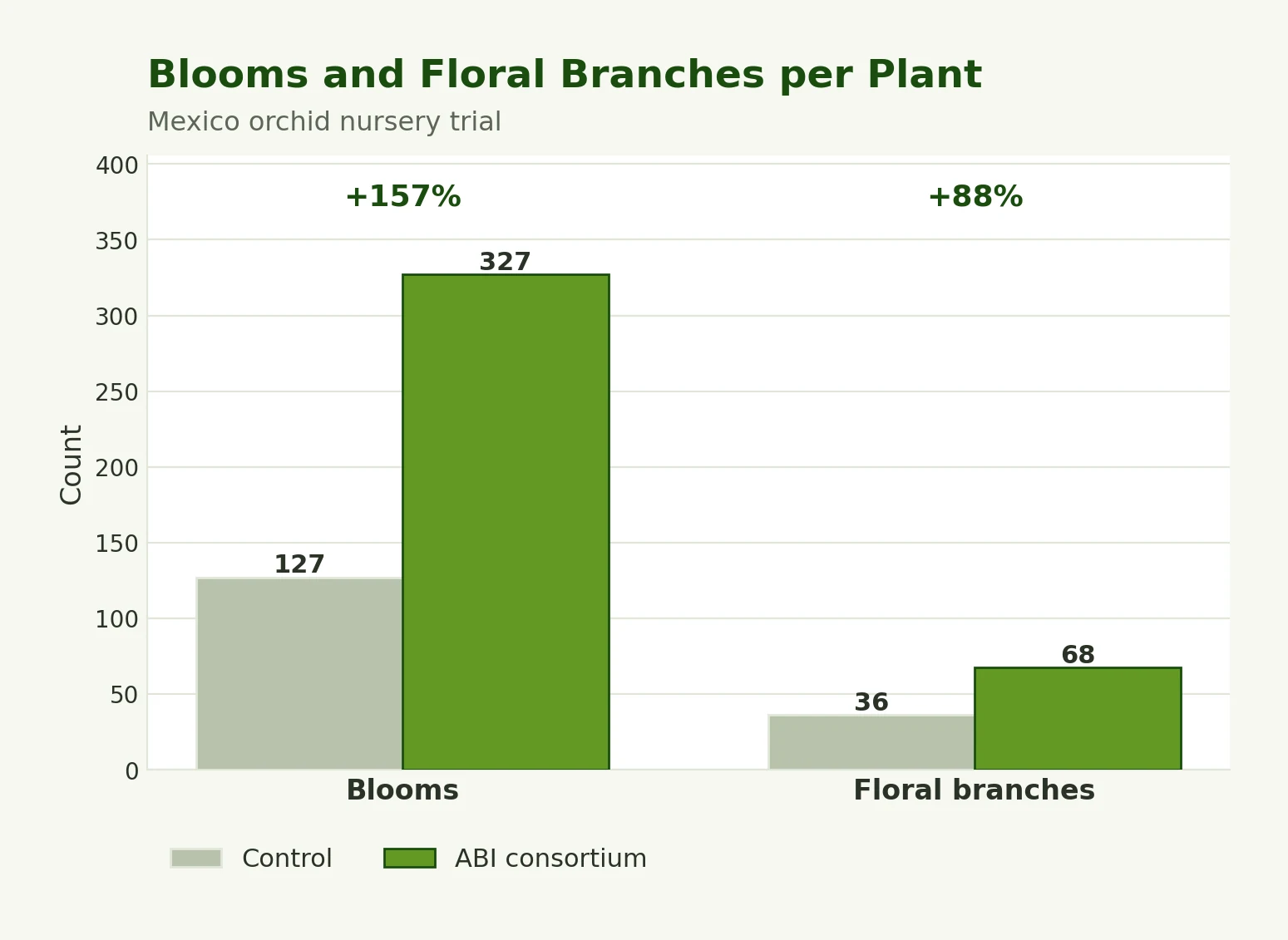 Blooms and floral branches per plant, control versus ABI consortium