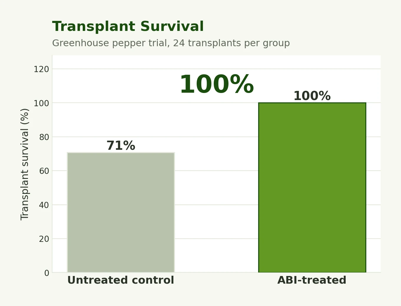 Transplant survival, 100% versus 71% for the control