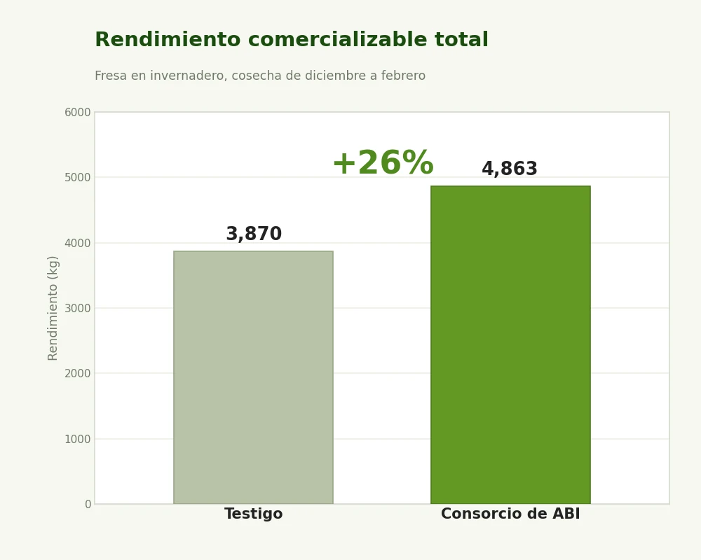 Producción comercializable total, un aumento del 26 por ciento