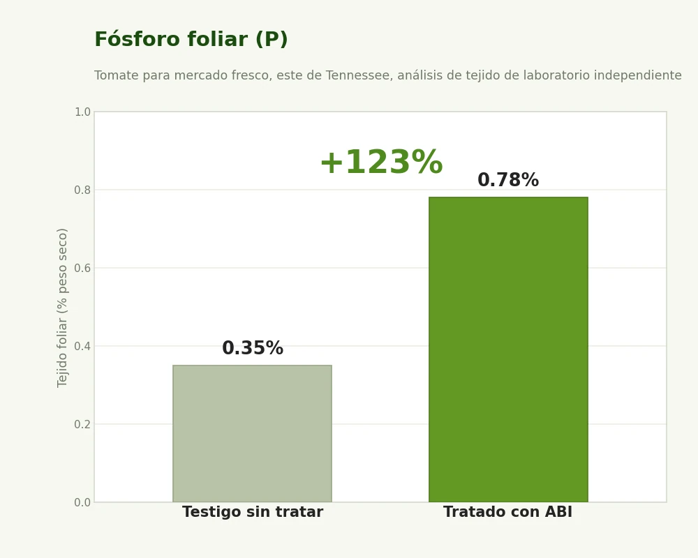 Fósforo foliar, un aumento del 123 por ciento (de 0.35% a 0.78%)