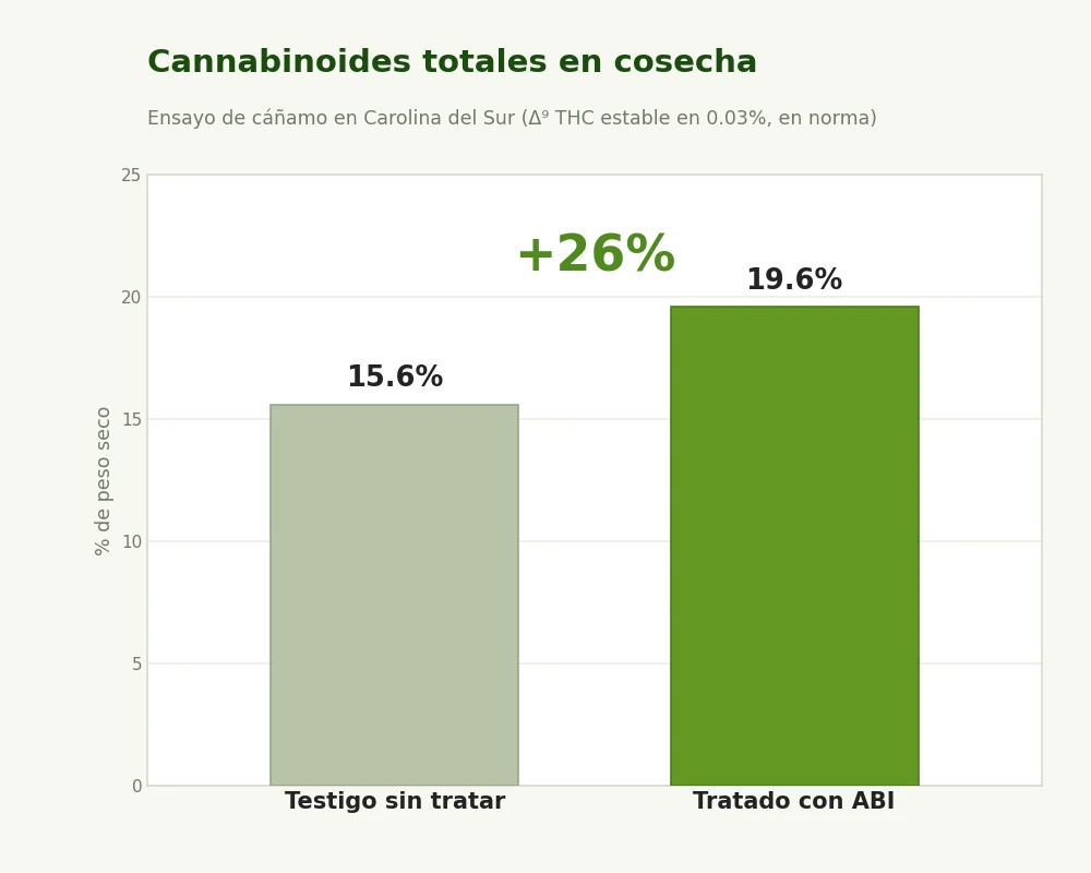 Cannabinoides totales, un aumento del 26 por ciento (de 15.6% a 19.6%)