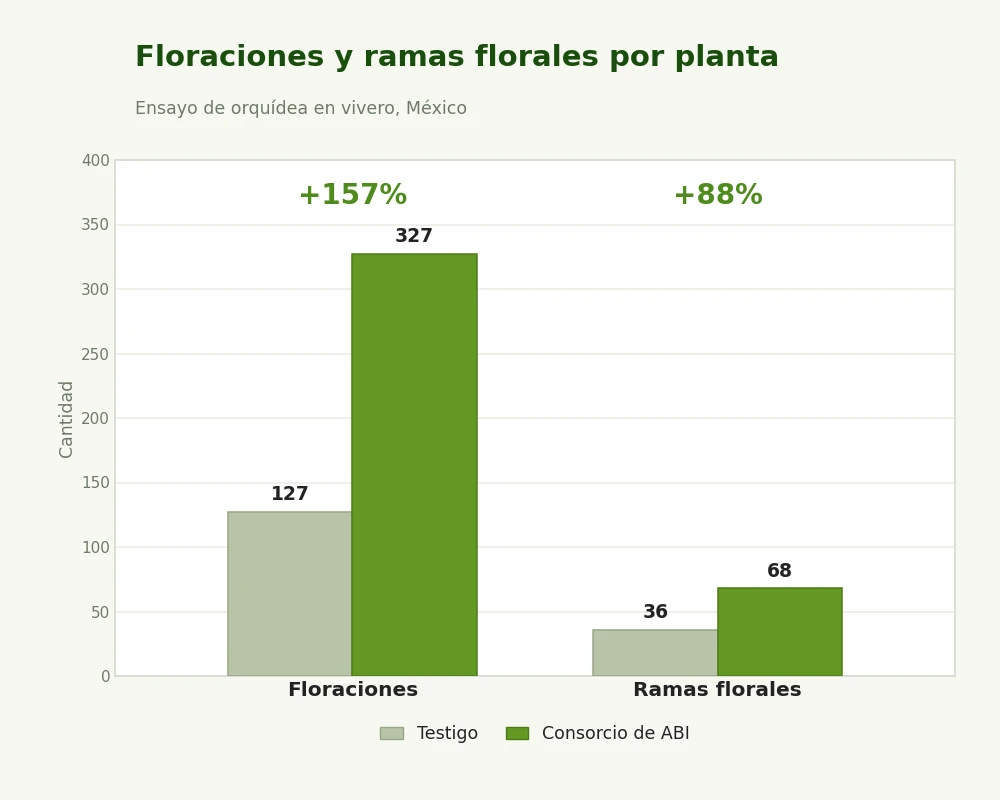 Floraciones y ramas florales por planta, testigo frente al consorcio de ABI