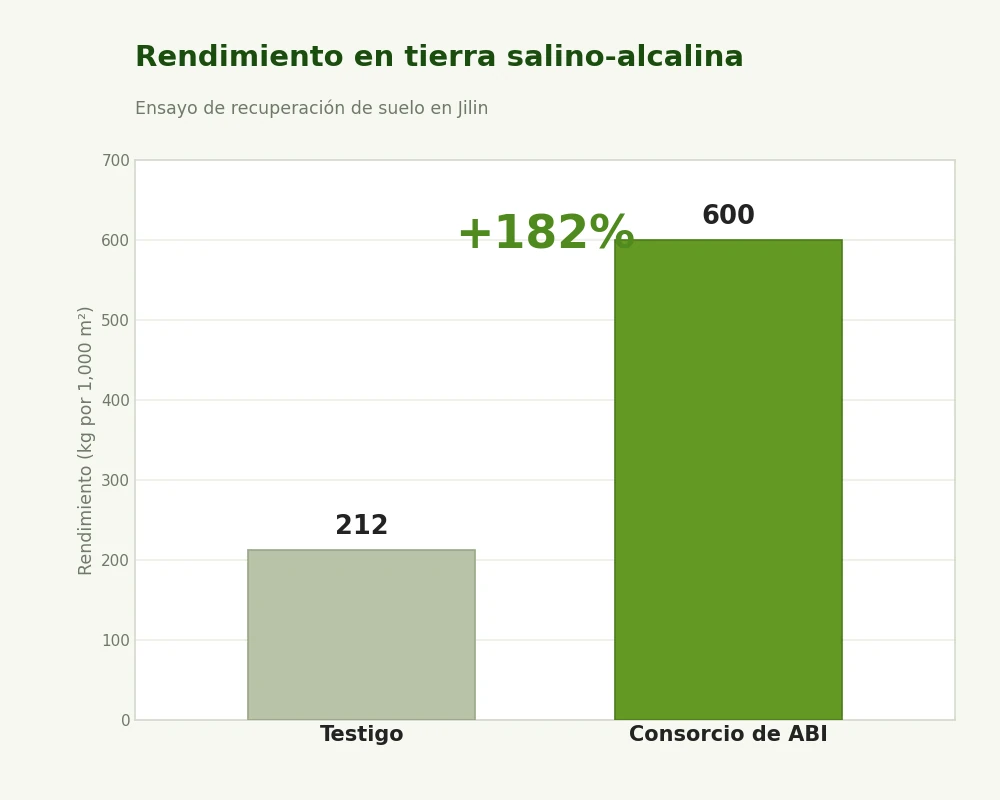 Rendimiento en tierra salino-alcalina, un aumento del 182 por ciento