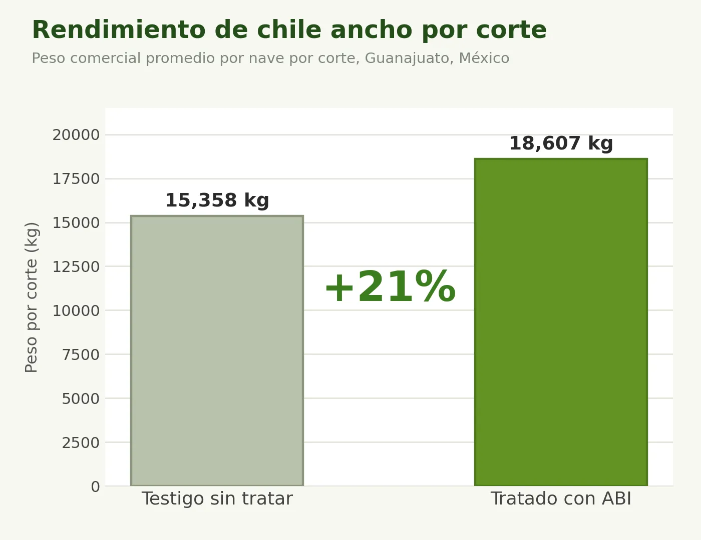 Rendimiento comercial por corte, 21% más que el testigo sin tratar