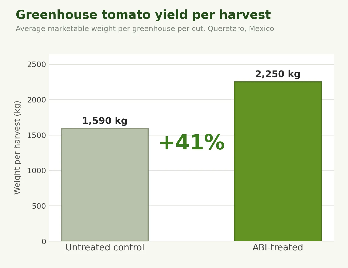 Marketable yield per harvest, a 41% gain over the untreated control