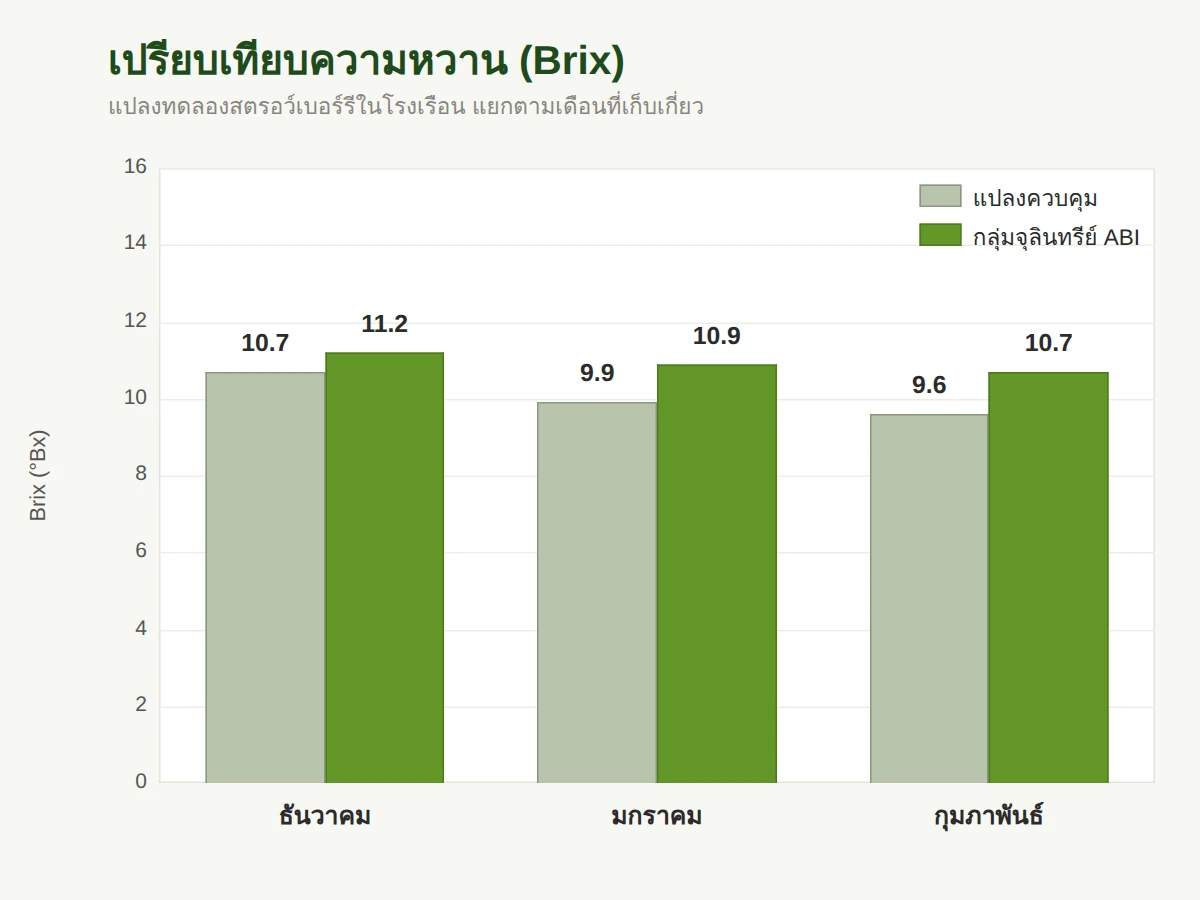 ค่าบริกซ์ของผลรายเดือนที่เก็บเกี่ยว แปลงควบคุม เทียบกับกลุ่มจุลินทรีย์ ABI