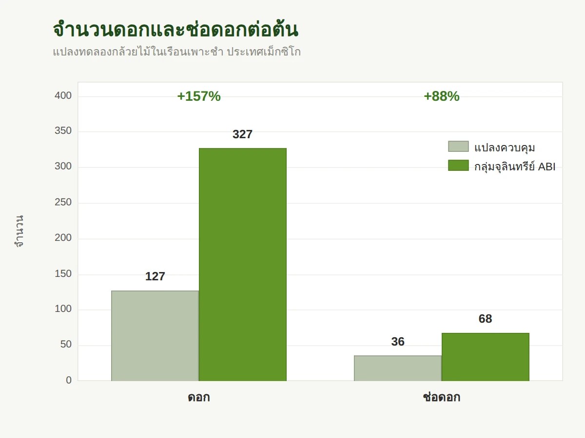 จำนวนดอกและก้านช่อดอกต่อต้น กลุ่มควบคุมเทียบกับกลุ่มจุลินทรีย์ ABI