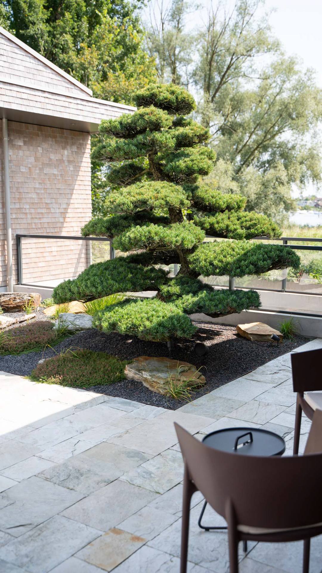 grosser Bonsai im Kiesbeet umgeben von Natursteinplatten. 