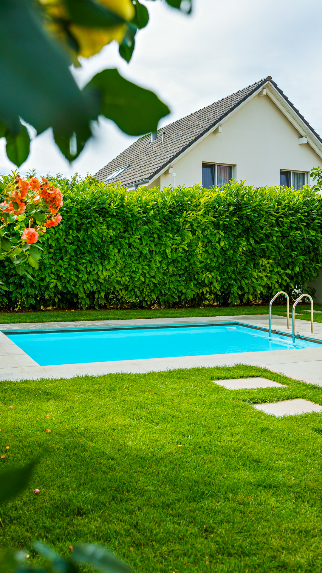 Swimmingpool mit Hecken Sichtschutz und saftiger Wieser davor. 