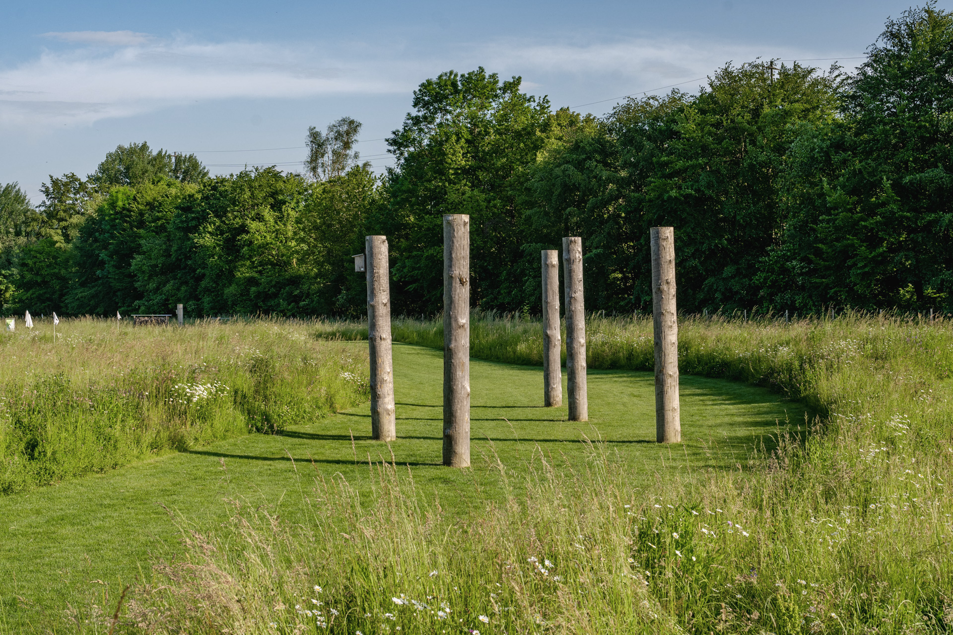 Baumstämme als Hinderniss auf dem Fussballgolf Platz in Müllheim geplant durch Umraum Landschaftsarchitektur Büro. 