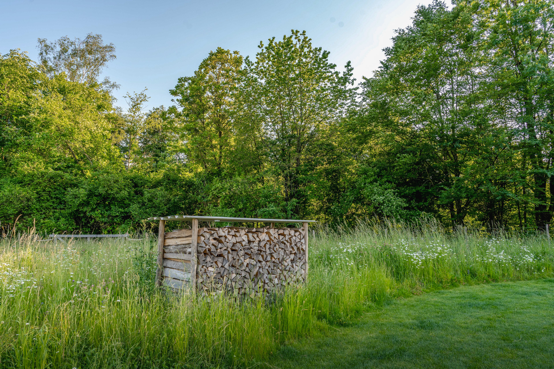 Holzstapel auf Fussballgolfplatz im Hintergrund ein schön grünes Waldstück. 
