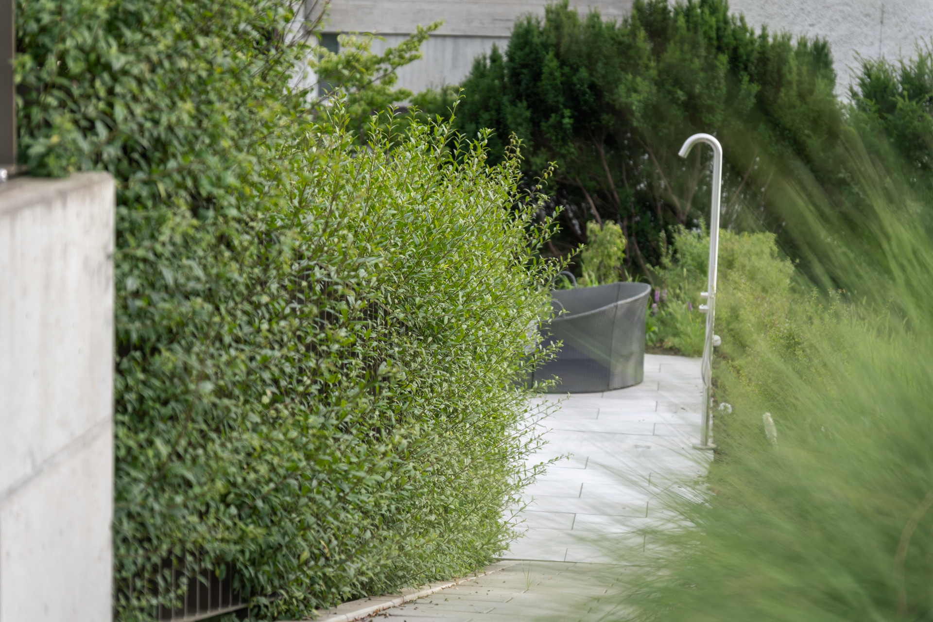 Grüner Sichtschutz mit viel Privatsphäre zur Gartendusche. 