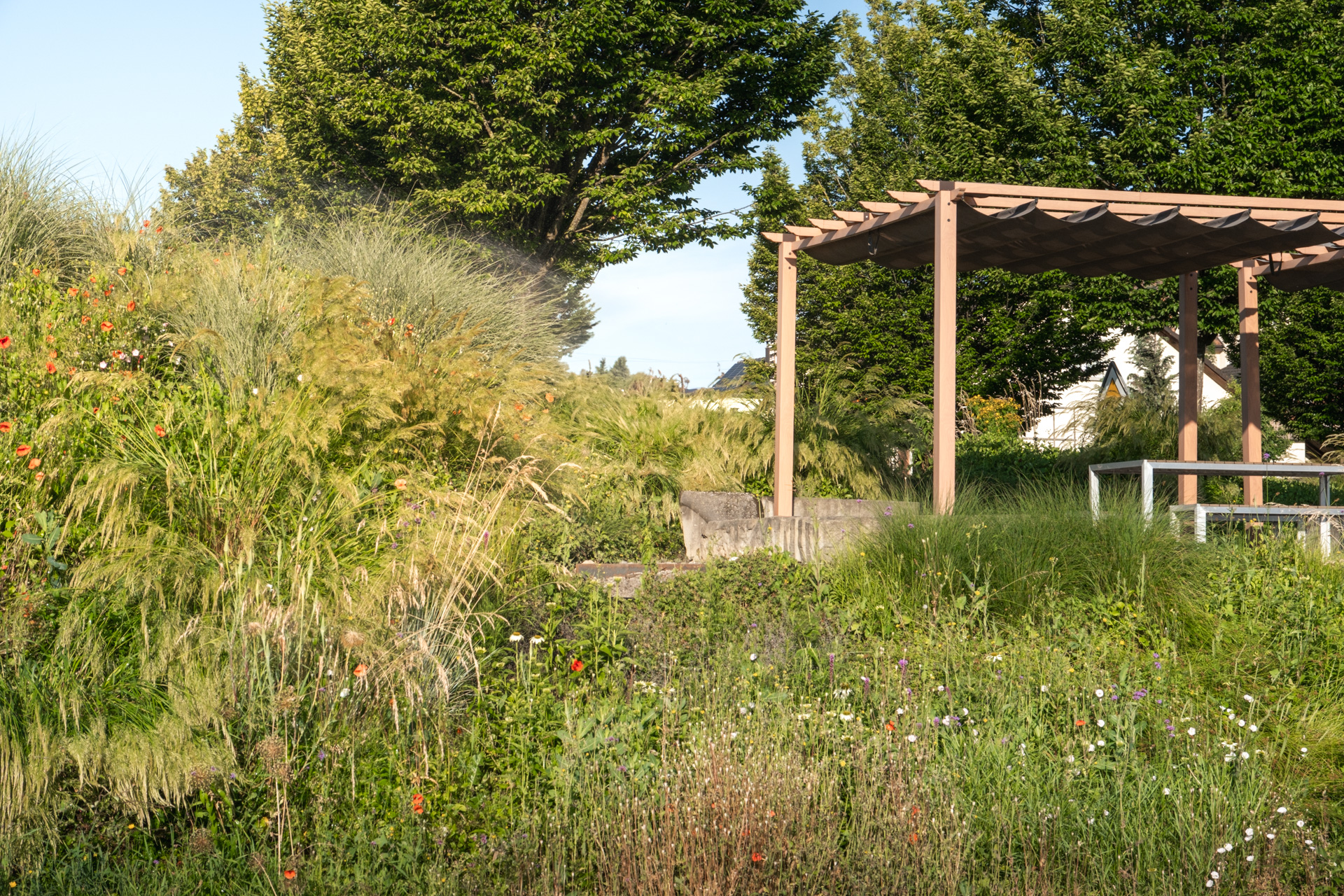 Holzpergola in grüner Umgebung mit Sonnenschutz. 