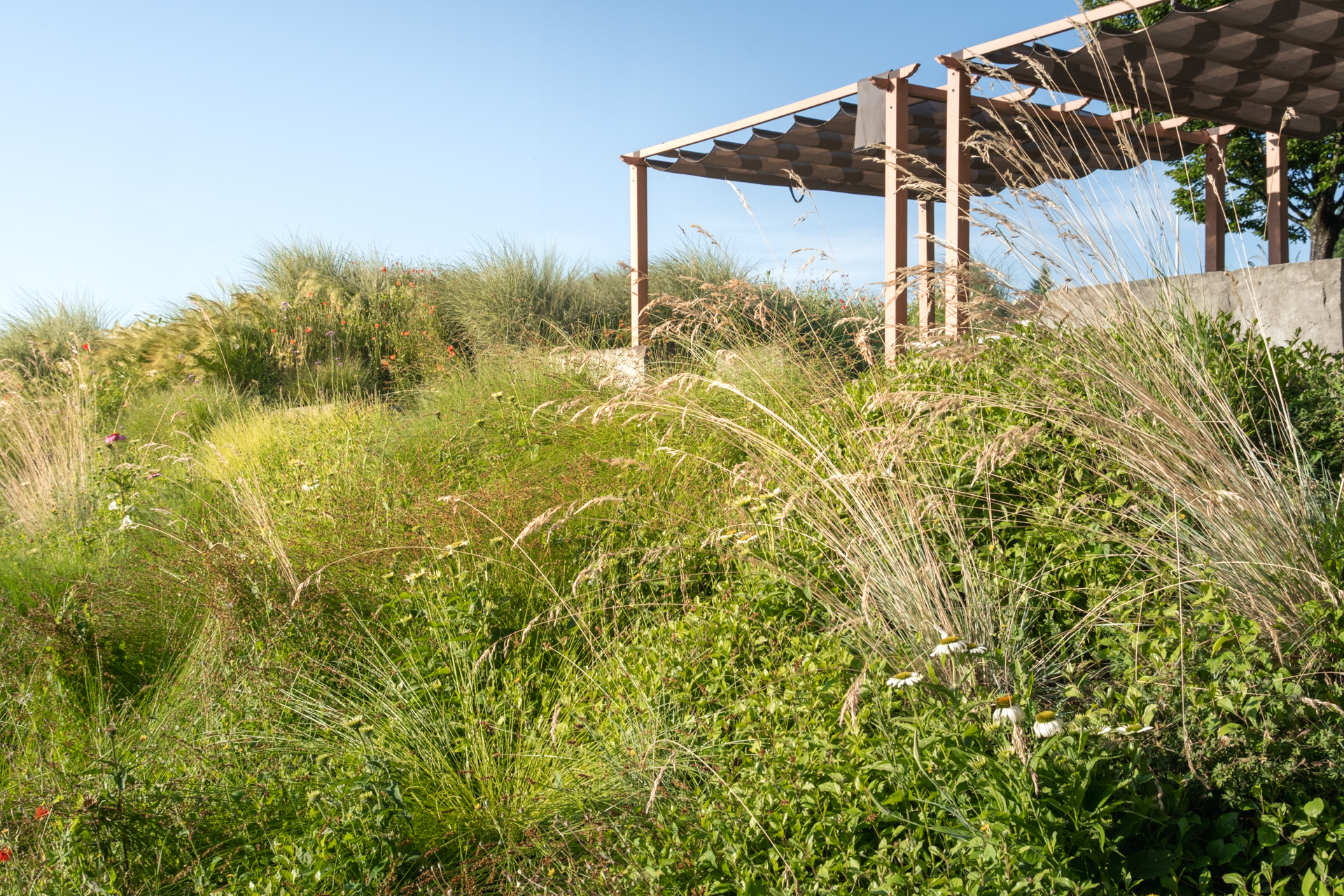 Gräser und Stauden in Hang mit Pergola in mediterranem Look. 