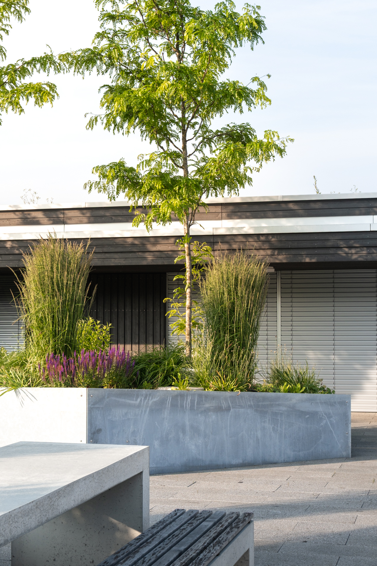 Über den Dächern von Weinfelden, Dachterrasse mit Beton Blumenbeeten schöner Bepflanzung und Bäumen. 