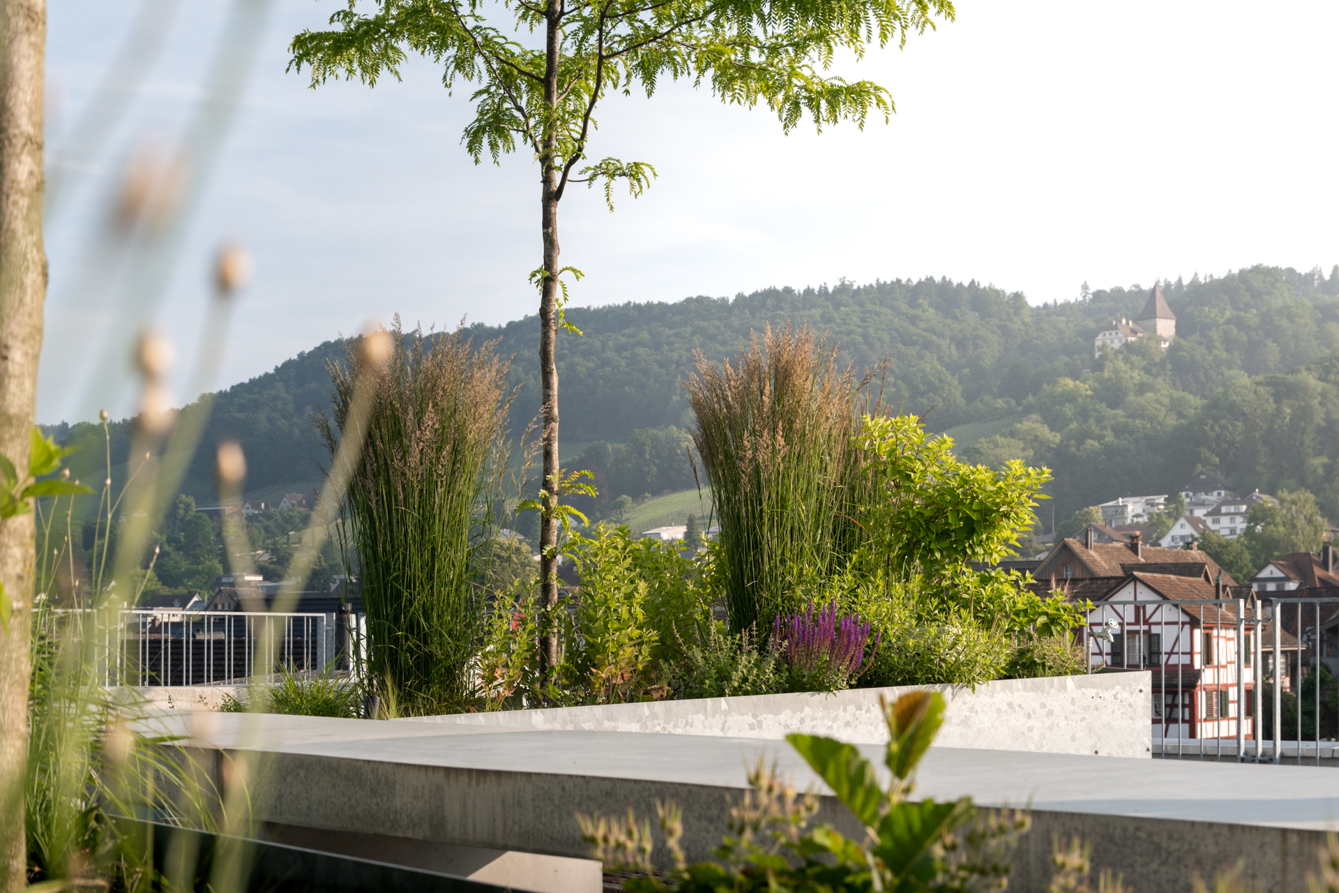 Dachterrasse mit Riegelhaus im Hintergrund in Weinfelden. 