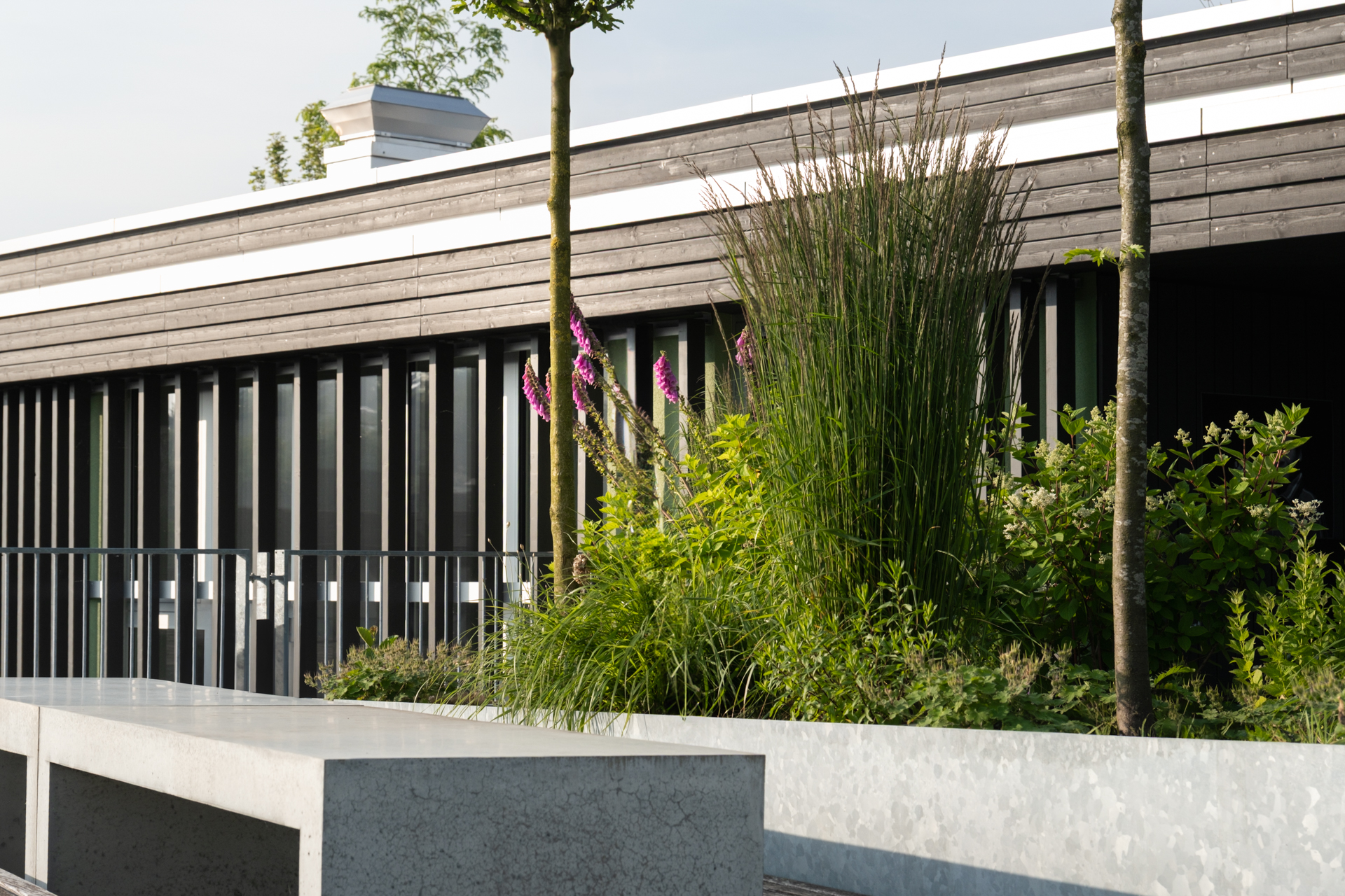 Beton Troge und Sitzbank auf Dachterrasse in Weinfelden. 