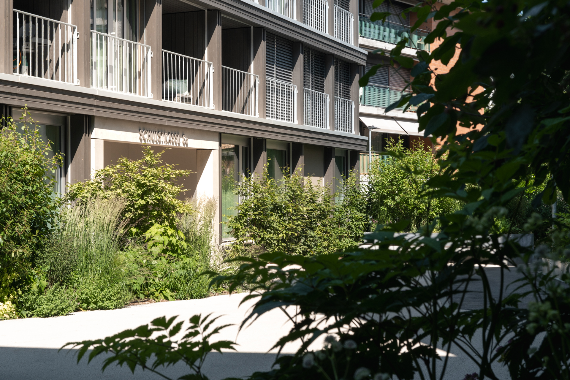 Garagemeimfahrt Wohnhaus mit schöner Bepflanzung. 