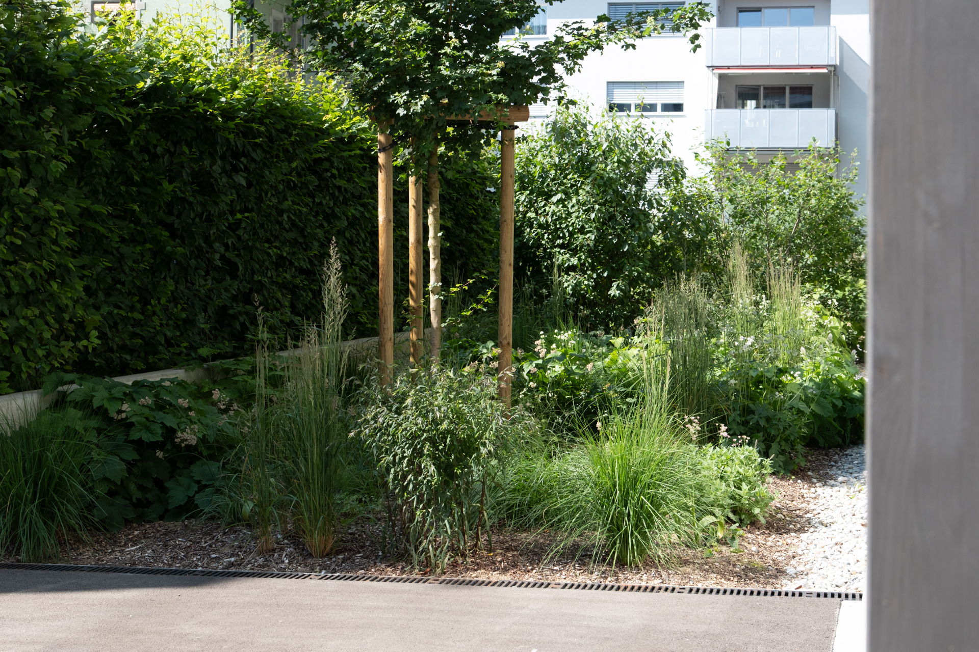 Pflanzenbeet mit Bäumen und Hecke. 
