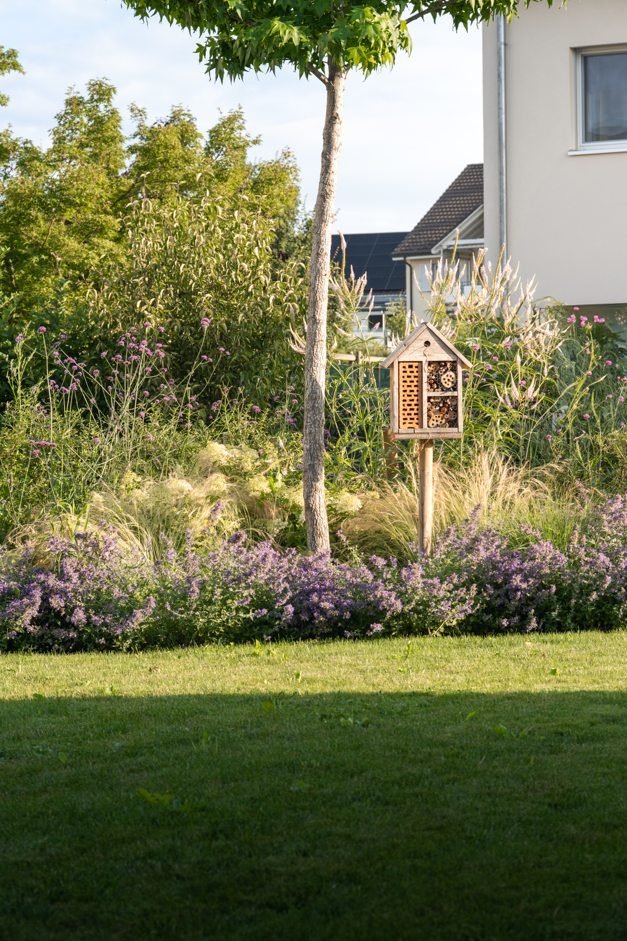 Wiese mit violettem Blumenbeet und sanften Gräsern mit einem grossen Baum und einem Bienenhaus. 