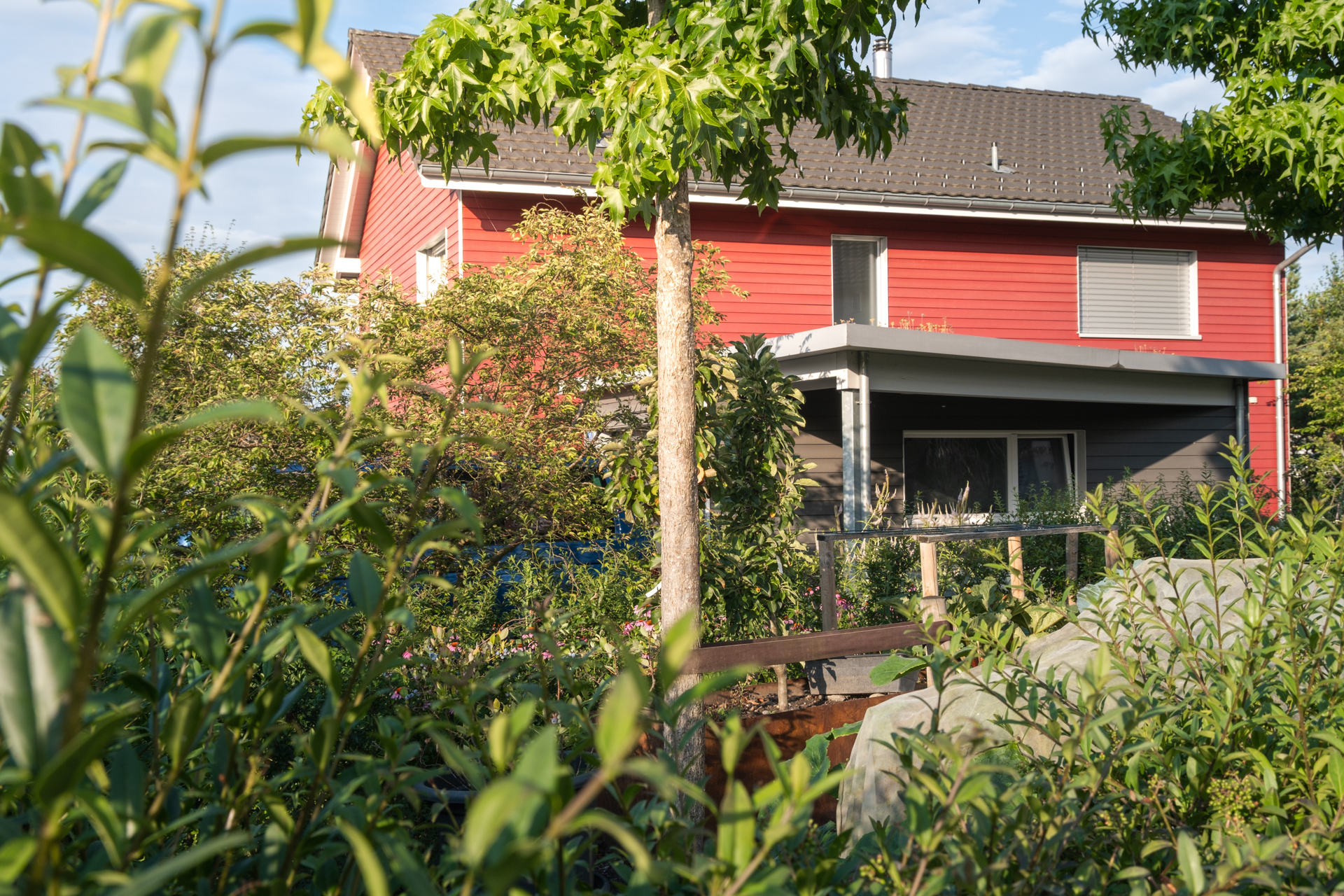 Rotes Haus im Hintergrund mit üppigem Garten mit vielen Bäumen und Sträuchern. 