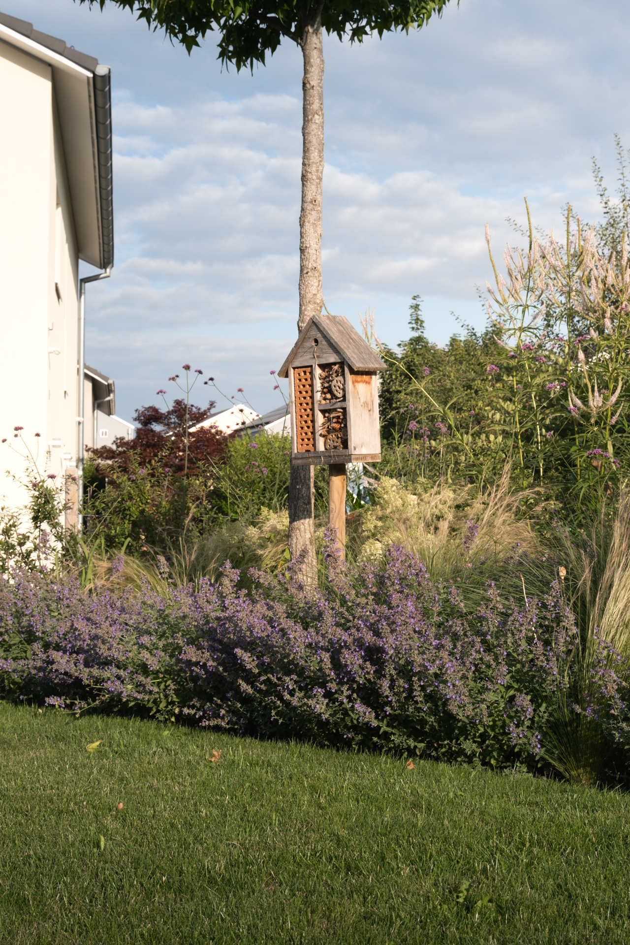 Bienenzuhause in einem Garten mit violetten Stauden und einem hochstämmigen Baum. 
